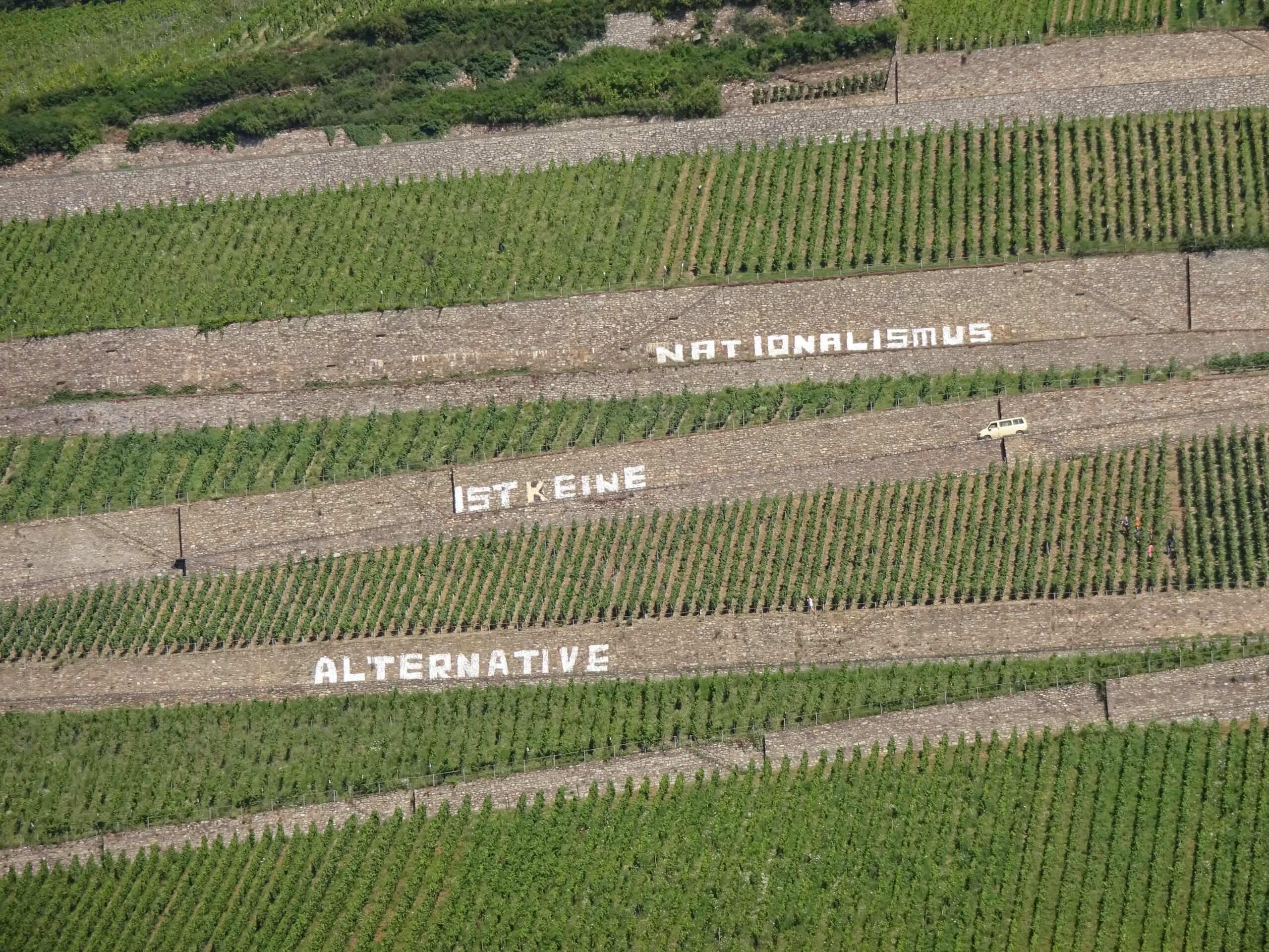 Die AfD ist nicht nur rassistisch …